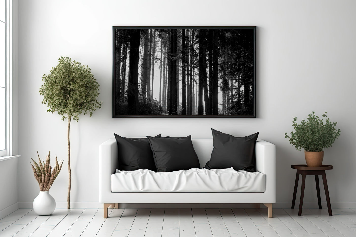 Forest Shadows